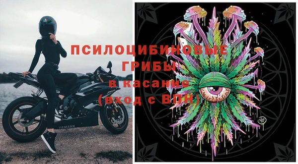 шишки Баксан