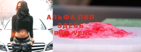 шишки Баксан
