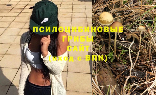 шишки Баксан