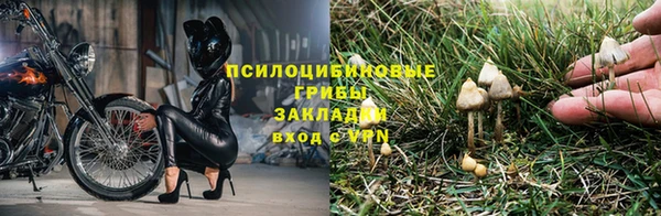 шишки Баксан